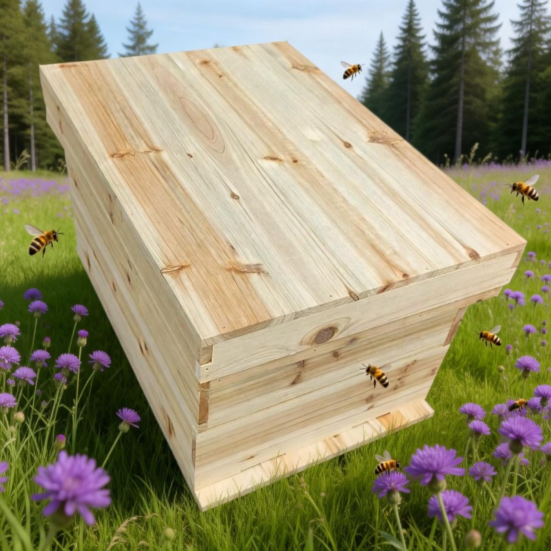 Arneses para nido de abejas, S - Wedding Supply.Box reseña y precio